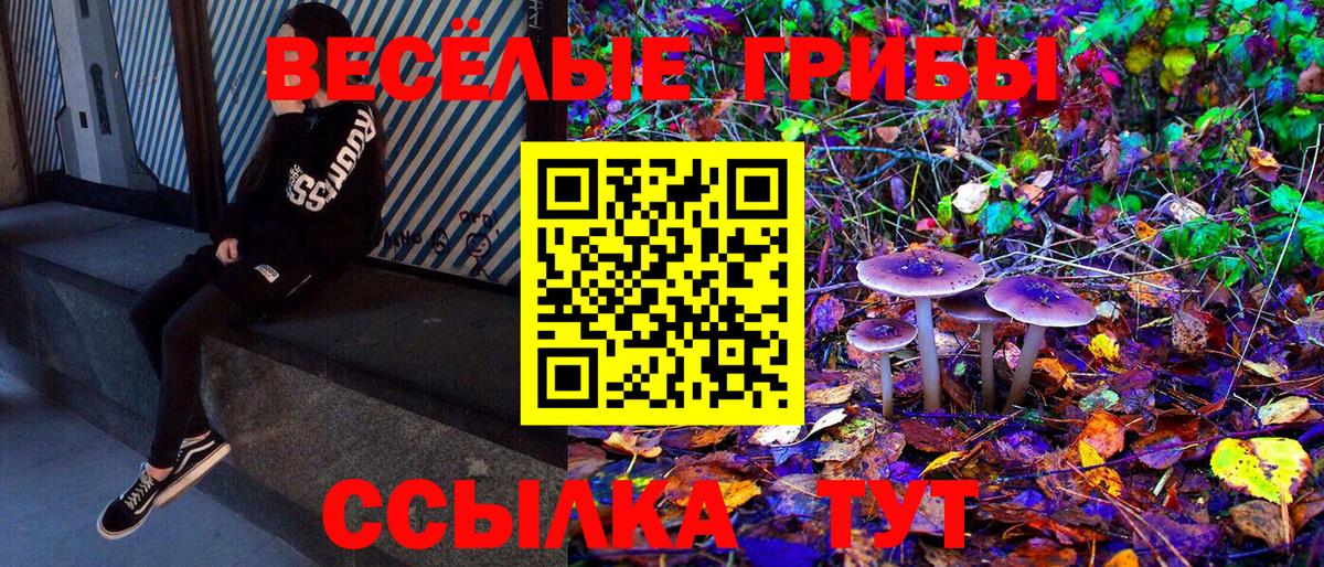 Нижний Новгород  Галлюциногенные грибы мицелий  Вход с VPN 